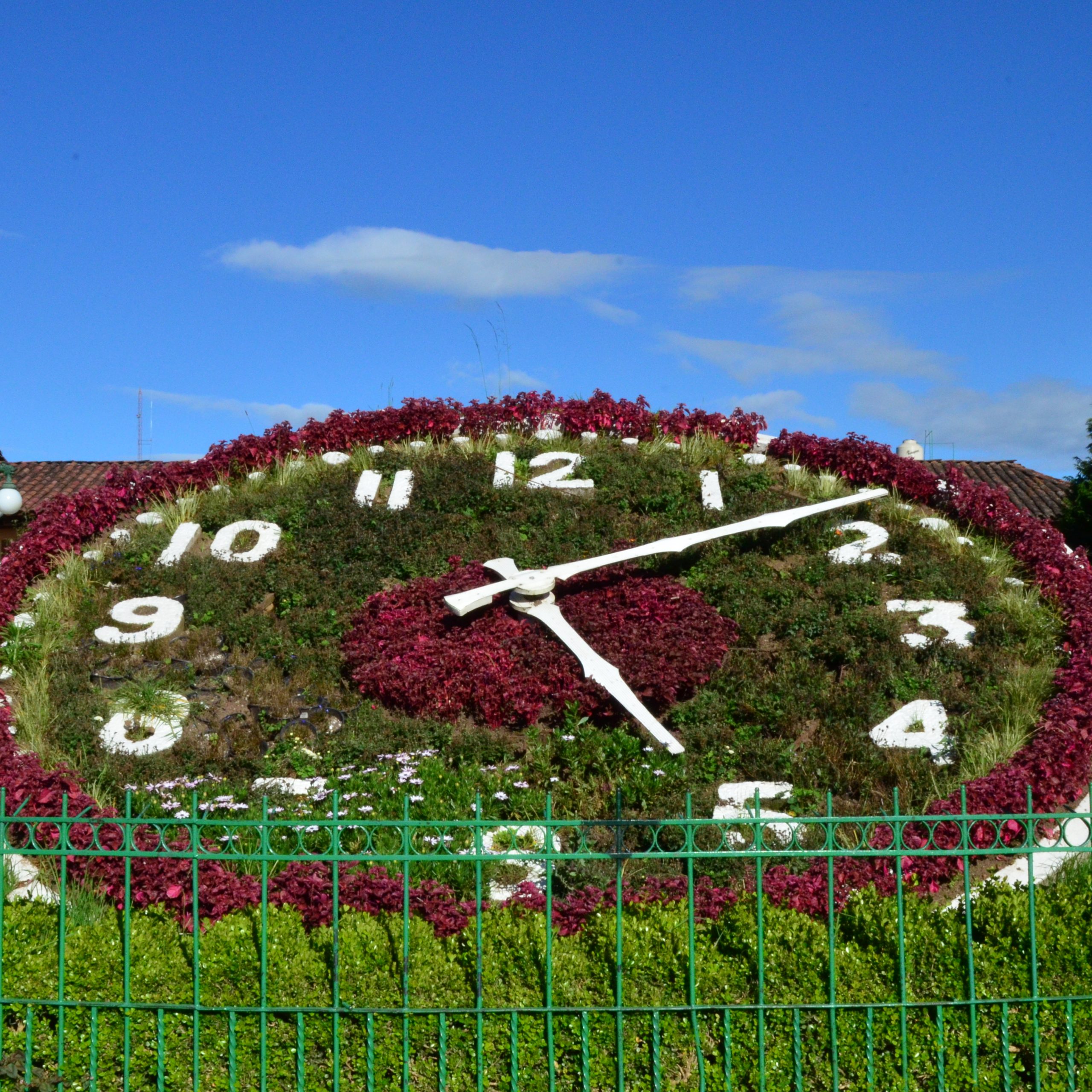 Tour Chignahuapan desde CDMX 2025