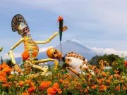 tour valle de catrinas desde cdmx