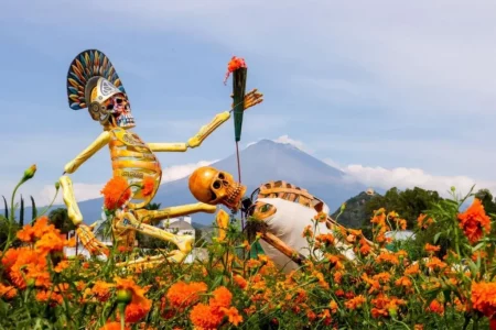 Tour día de Muertos Campos de Cempasúchil y Catrinas en Atlixco desde CDMX
