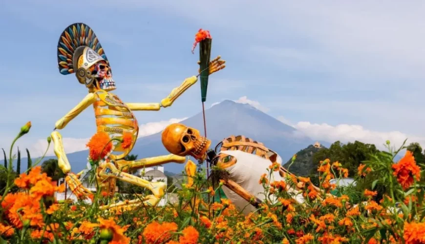 tour valle de catrinas desde cdmx