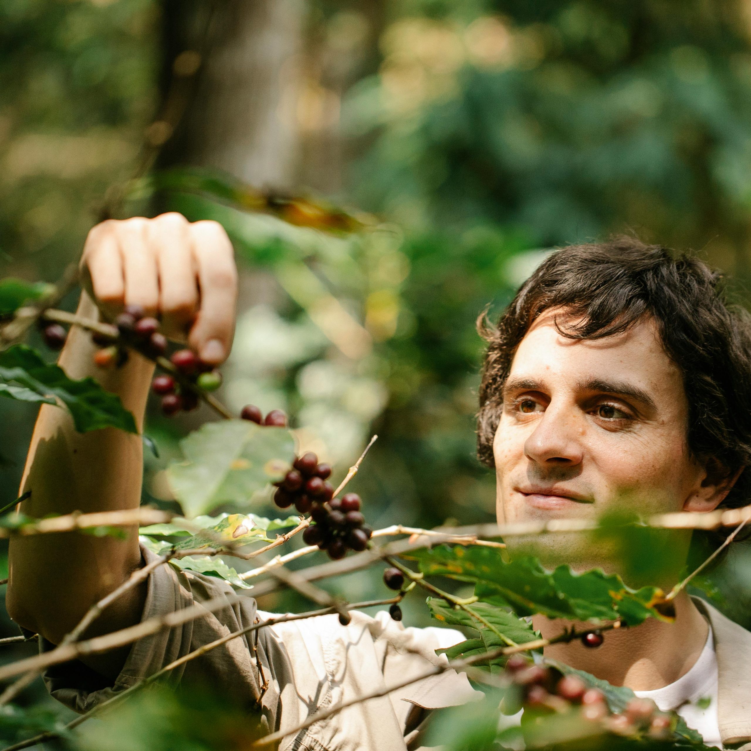 Tour Ruta del Café en Xicotepec Puebla desde CDMX